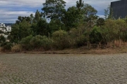 Terreno à venda na Estrada Municipal Benvenuto Toss, 851, São Luiz, Caxias do Sul