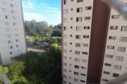 Apartamento à venda na Pedra Branca , com 2 quartos , 1 vaga garagem , sala , cozinha , 1 banheiro