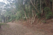 Terreno à venda na Estrada Rozália Paulina Ferreira, 2923, Pântano do Sul, Florianópolis