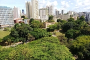 Apartamento 4 Quartos Suites 197m2 com vista ampla para o verde do vale do canela na Graça