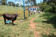 Fazenda á venda 3 Quartos 1 suíte, 43 hectares localizada em Rio Manso MG!