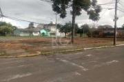 OPORTUNIDADE: LOTE DE ESQUINA&lt;BR&gt;Terreno de esquina sem benfeitorias, terraplanado, plano e limpo, pronto para edificação, matricula livre sem gravame.&lt;BR&gt;INDICADO PARA CONSTRUÇÃO DE:&lt;B