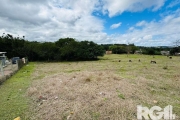 Terreno à venda no bairro Lageado. Ótimo terreno medindo 10 x 43. &lt;BR&gt;Busca troca por imóvel com casa na faixa de 150 à 170 mil, preferência na Ponta Grossa, Belém Novo e regiões próximas. Estud