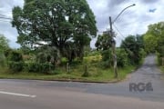 Terreno localizado na Estrada 3 Meninas, em uma importante via do Bairro Vila Nova em processo de duplicação como contra partida da construção do Condomínio Alphaville, importante empreendimento imobi