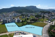 ÁREA/TERRENO DE 10.199 M² EM PALHOÇA/SC&lt;BR&gt;2 OPÇÕES DE ÁREAS A VENDA DIRETA, OU PERMUTA 100%  (BASE 13%)&lt;BR&gt;NA AVENIDA ALEXANDRE COELHO &lt;BR&gt;&lt;BR&gt;*Podendo ser desmembrado em duas