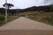 Terreno à venda na Estrada Municipal Avelina Tomazzoni Piccoli, 808, Monte Bérico, Caxias do Sul