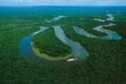 AMAZONAS: Área a venda de 50 mil hectares, com a documentação completa.