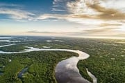 AMAZONAS: Área a venda de 10 mil hectares, com a documentação completa.