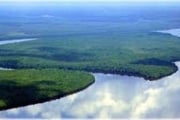 AMAZONAS: Área a venda de 11 mil hectares, com a documentação completa.