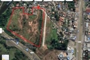 Terreno com 66.600m² em Taquara na rua Tristão Monteiro. &lt;BR&gt;Terreno ideal para construir sua grande indústria, fábrica ou para agronomos que estão buscando terras para sua plantação. Venha conf