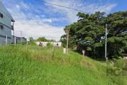 Terreno no Bairro Nonoai com 2.468,40m², na Rua Taveira Junior, com vista panorâmica da cidade. Próximo ao Hospital Santa Ana, fácil acesso ao Shopping Bourbon Teresópolis, Academias de Ginástica, Ban