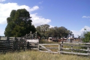 Area para Venda - 120000m², 0 dormitórios, Vila Santa Rosa