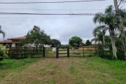 Terreno Bairro Belém Novo 12 x 70
