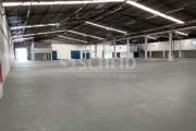 Galpão 11.000m² 4 Docas 8 de pé direito na Vila Leopoldina