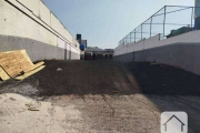 Terreno para alugar, 500 m² por R$ 12.000/mês - Jardim Rio Pequeno - São Paulo/SP