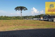 Terreno à venda, 6888 m² por R$ 1.400.000 - Fazendinha - Campo Largo/PR