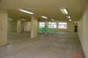 Galpão para alugar, 1200 m² por R$ 53.746/mês - Campos Elíseos - São Paulo/SP