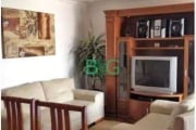 Apartamento com 3 dormitórios à venda, 105 m² por R$ 889.000 - Vila Albertina - São Paulo/SP