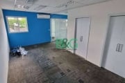 Conjunto para alugar, 37 m² por R$ 2.625,00/mês - Ipiranga - São Paulo/SP