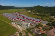 Terreno comercial à venda na Rua Vidal Flávio Dias, 4200, Santa Terezinha, Gaspar