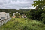 Terreno à venda, 800 m² por R$ 340.000,00 - Condomínio Reserva Ibirapitanga - Santa Isabel/SP