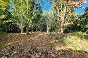 Terreno à venda na Avenida Coronel Marcos, 1109, Pedra Redonda, Porto Alegre