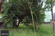 Terreno para Venda - 0m², 0 dormitórios, Tristeza