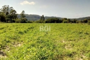 Sítio considerado como Área rural na região do Lami, bairro Extrema com  2,0 ha em terreno plano, possui  área para plantio e nos fundos possui um açude com mata nativa terminando no Arroio da Divisa.