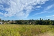 Terreno alto, muito bem localizado na  avenida Lami,  com escritura. Quase 1 Hectare.