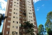 Apartamento com 3 quartos para alugar na Avenida Dom Jaime de Barros Câmara, 885, Planalto, São Bernardo do Campo