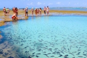 Max Plural Trás Seu Mais Breve Lançamento Praia de Porto de Galinhas! Com Alta Rentabilidade Faça Seu Cadastro