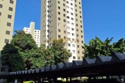 Apartamento - Brás - São Paulo SP