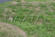 Terreno de 300m² no Condomínio Mirante do Horto. Pronto para Construir com Projeto e Alvará Aprovado