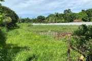 Terreno plano as margens da Rodovia Amaral Peixoto - Vale da Figueira