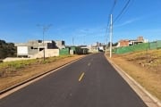 Terreno para Venda em Uberlândia, Granja Marileusa