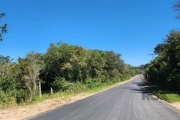 Área de terra de 32 Hectare com projeto aprovado de casas, localização RS 118 antiga estrada São Caetano, asfalto em frente e 3 km do mercado Bom Lami , posto de gasolina , escolas e todos recursos da