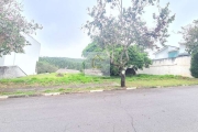 Terreno para venda em Vila Oliveira de 600.00m²