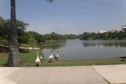 Terreno en Condomínio para venda em Condomínio Lago Da Boa Vista de 787.00m²