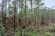 Terreno para venda em Taiaçupeba de 193000.00m²