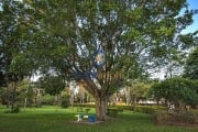 Terreno em condomínio fechado à venda na Rua Alfredo Gomes Júlio, 130, Parque Xangrilá, Campinas