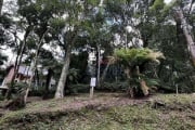 Terreno à venda no Conomínio o Bosque em Gramado!