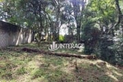 Terreno à venda, 495 m² por R$ 500.000,00 - Santa Felicidade - Curitiba/PR