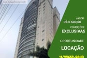 Apartamento 3 dormitórios para Locação em São Paulo, Vila Zelina, 3 dormitórios, 1 suíte, 2 banheiros, 2 vagas