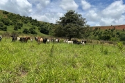 FAZENDINHA DE 5,5 ALQUEIRES PROXIMO DA CIDADE