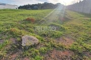 Terreno em condomínio fechado à venda na Avenida Isaura Roque Quércia, s/n, Loteamento Residencial Entre Verdes (Sousas), Campinas