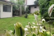 Casa para Venda em São José dos Pinhais, São Cristóvão, 4 dormitórios, 2 banheiros, 3 vagas