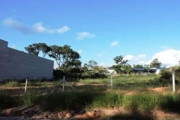 TERRENO RESIDENCIAL PARA VENDA E LOCAÇÃO, JARDIM IPÊ, SÃO PAULO - TE0232.
