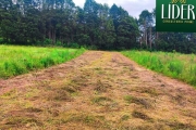 Conquiste o Seu Terreno no Recanto das Palmeiras – Bairro Campininha, Cotia-SP!