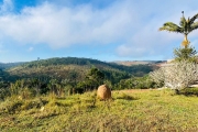 LOTEAMENTO A VENDA EM IGARATÁ!