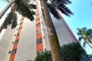 Apartamento em Jardim Santa Terezinha (Zona Leste)